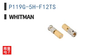 P119G-5H-F12TS ͼƬ